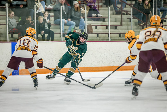 Chisago vs Forest Lake Varsity Hockey 203