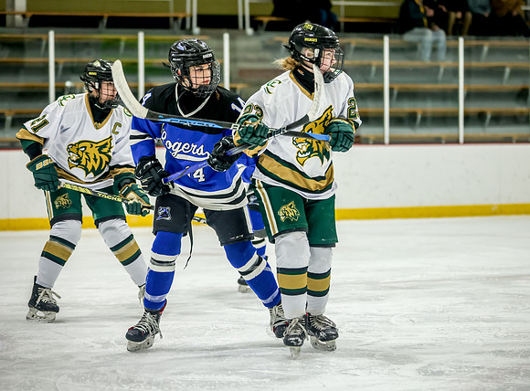 Chisago vs Rogers Varsity Hockey 135