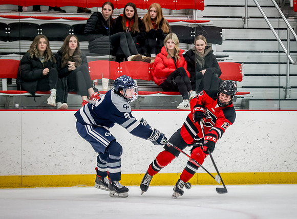 Chisago vs Rogers Varsity Hockey 96