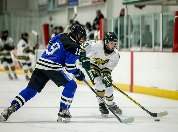 Chisago vs Rogers JV Hockey 161