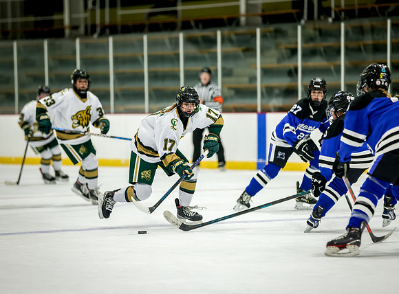 Chisago vs Rogers JV Hockey 276