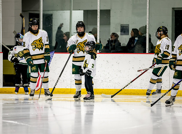 Chisago vs Rogers Varsity Hockey 65