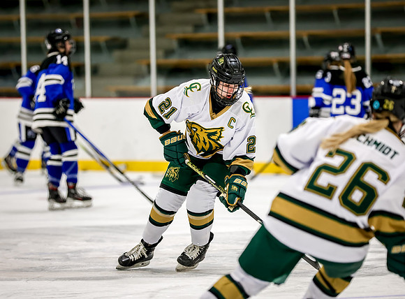 Chisago vs Rogers Varsity Hockey 15
