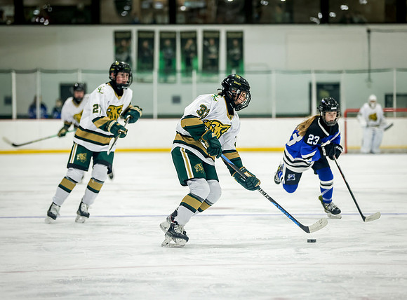 Chisago vs Rogers JV Hockey 381