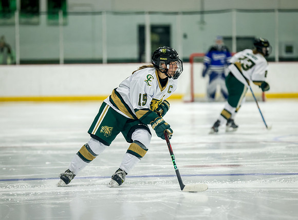 Chisago vs Rogers Varsity Hockey 259