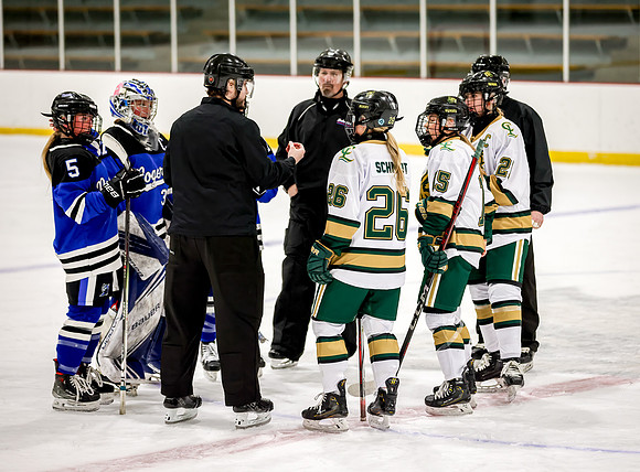 Chisago vs Rogers Varsity Hockey 46