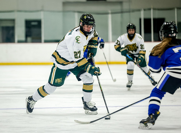 Chisago vs Rogers JV Hockey 81