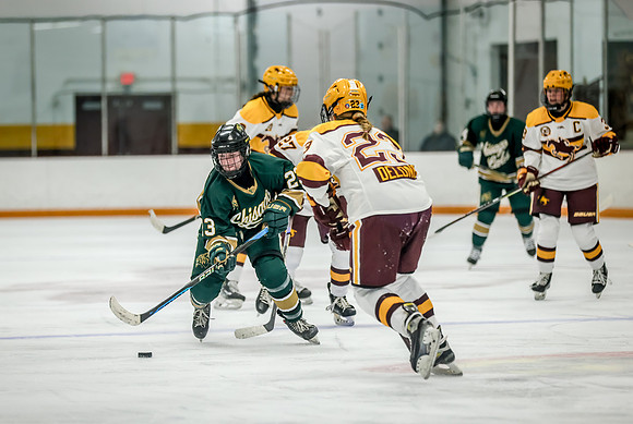 Chisago vs Forest Lake Varsity Hockey 287