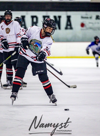 Centennial-Spring Lake Park vs Rogers Girls Varsity Hockey 019