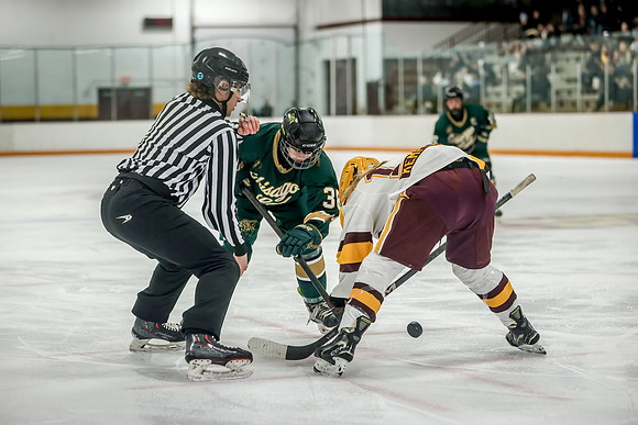 Chisago vs Forest Lake Varsity Hockey 279