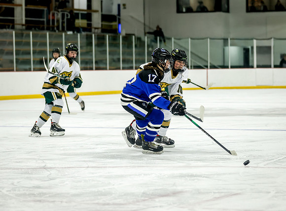 Chisago vs Rogers Varsity Hockey 190