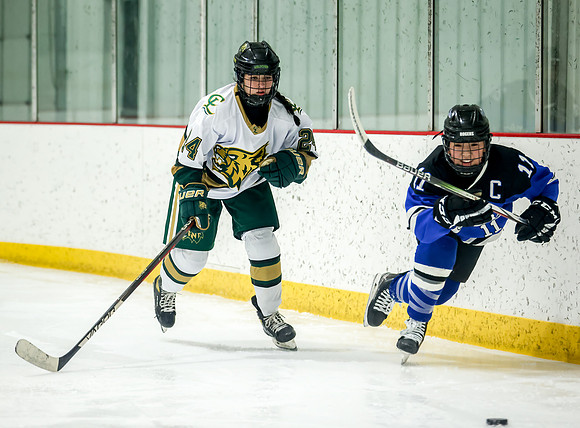 Chisago vs Rogers Varsity Hockey 270