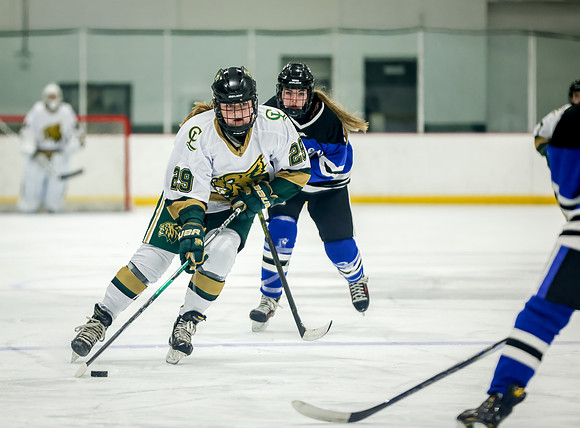 Chisago vs Rogers JV Hockey 88
