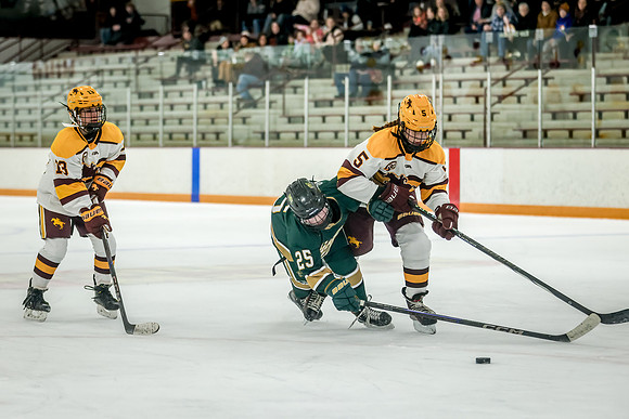 Chisago vs Forest Lake JV Hockey 144