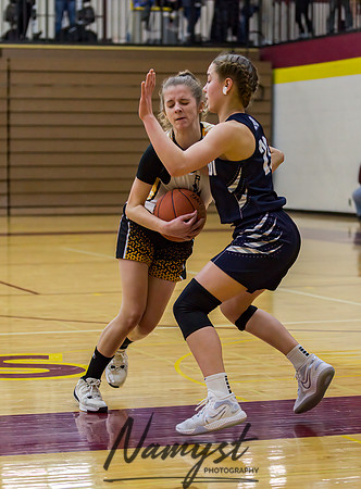 Forest Lake Girls 7 Maroon Basketball 179