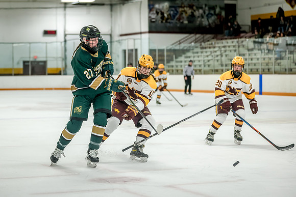 Chisago vs Forest Lake JV Hockey 156