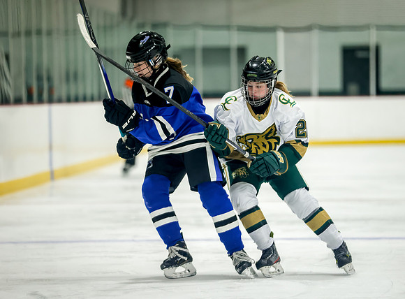 Chisago vs Rogers JV Hockey 91