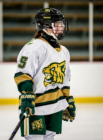 Chisago vs Rogers JV Hockey 15