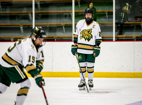 Chisago vs Rogers Varsity Hockey 3