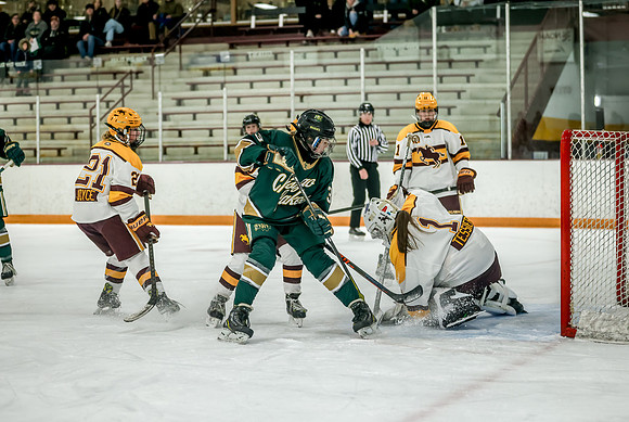 Chisago vs Forest Lake JV Hockey 121