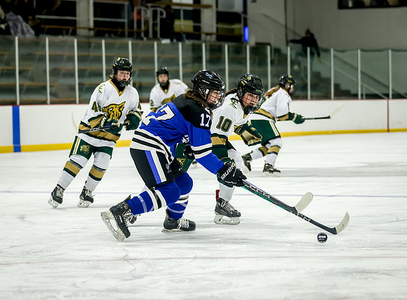 Chisago vs Rogers Varsity Hockey 188