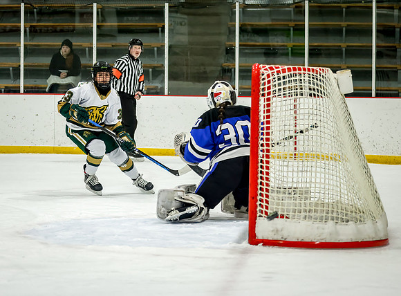 Chisago vs Rogers JV Hockey 232