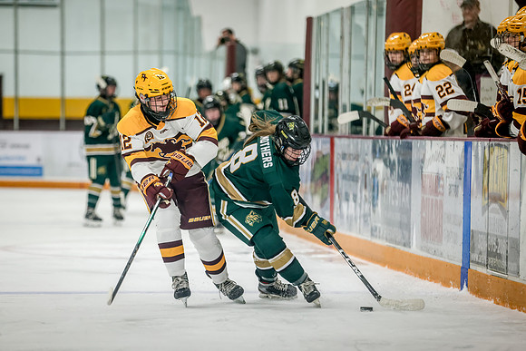 Chisago vs Forest Lake Varsity Hockey 182