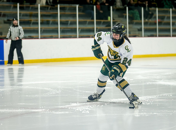 Chisago vs Rogers JV Hockey 332