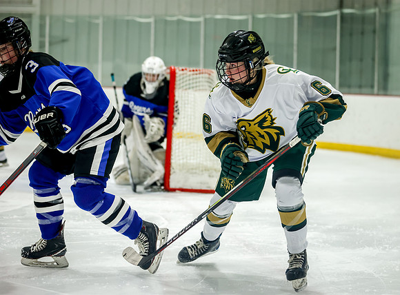 Chisago vs Rogers JV Hockey 357