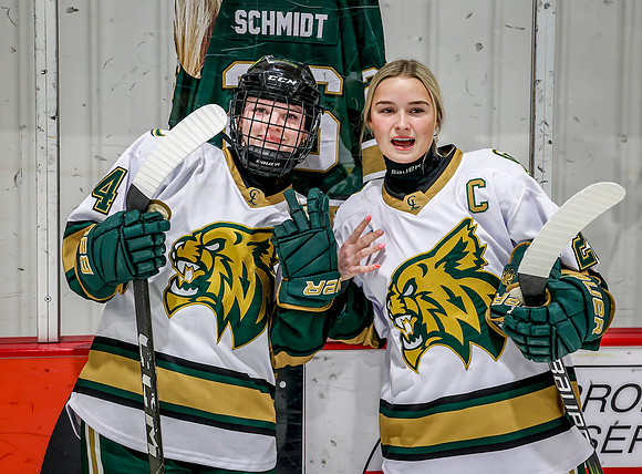 Chisago vs River Lake Stars Varsity Hoc 73