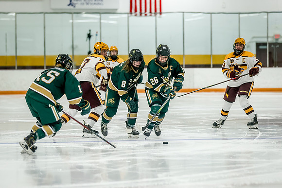 Chisago vs Forest Lake Varsity Hockey 375
