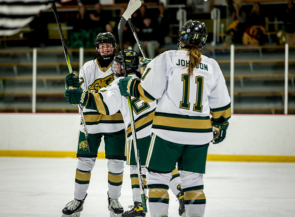 Chisago vs Rogers JV Hockey 272