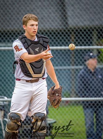 Forest Lake vs Chisago Lakes Varsity Baseball (272)