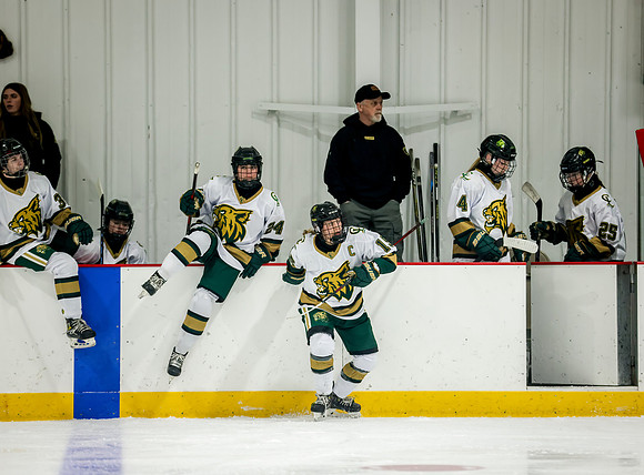 Chisago vs Rogers Varsity Hockey 302