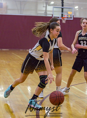 Forest Lake Girls 7 Maroon Basketball 040