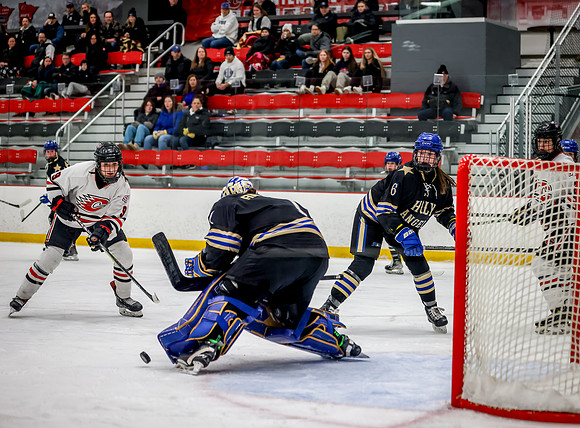 Centennial vs Holy Angels Varsity Hockey 63