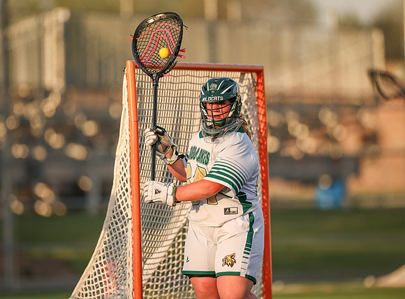 901 Chisago Lakes vs Anoka Lacrosse_