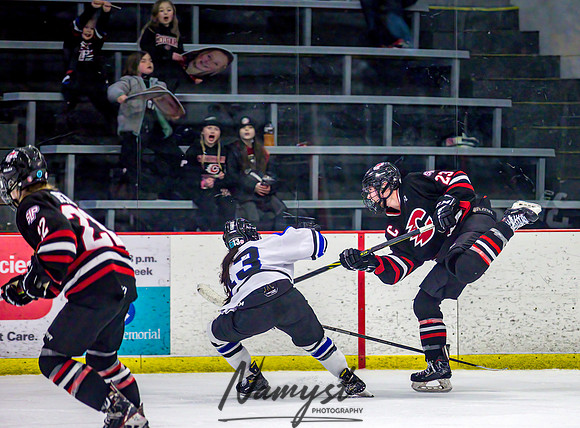 Centennial-Spring Lake Park vs Rogers Girls Varsity Hockey 453
