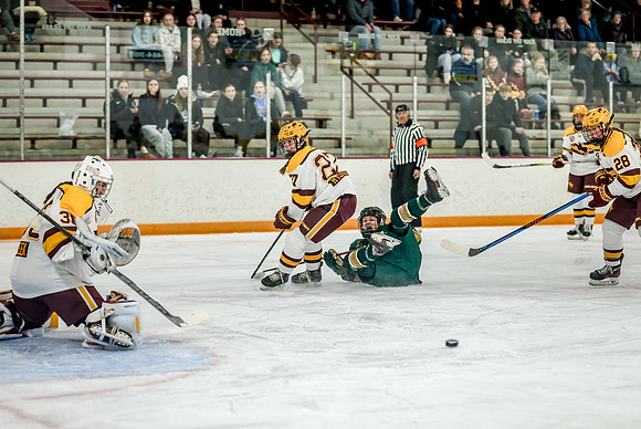 Chisago vs Forest Lake Varsity Hockey 167