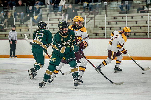 Chisago vs Forest Lake Varsity Hockey 426