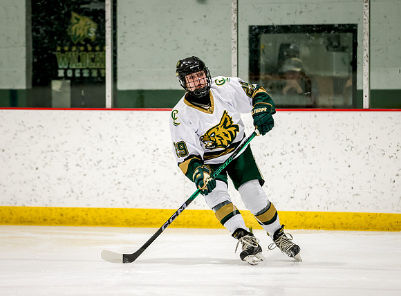 Chisago vs Rogers JV Hockey 48