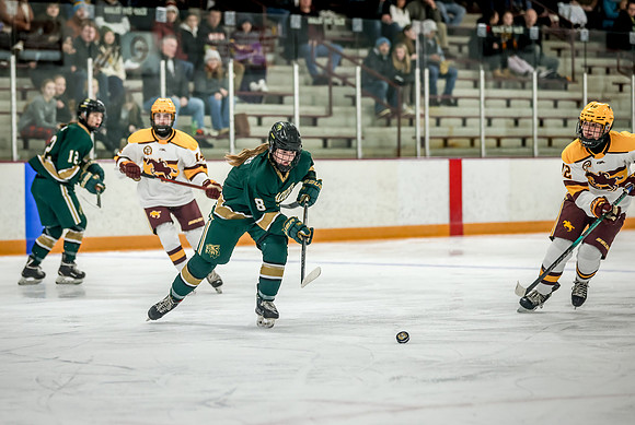 Chisago vs Forest Lake Varsity Hockey 175