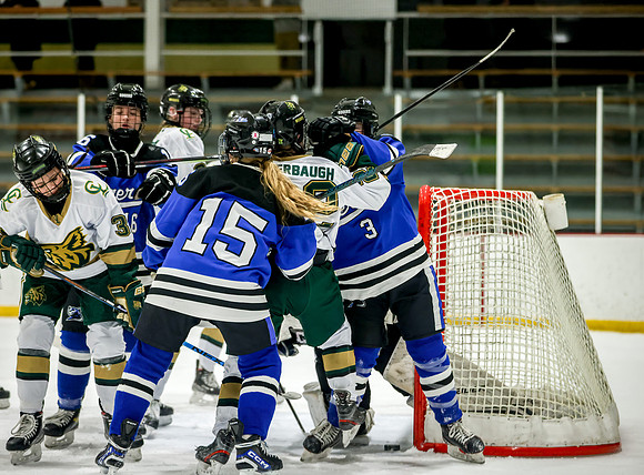 Chisago vs Rogers JV Hockey 299