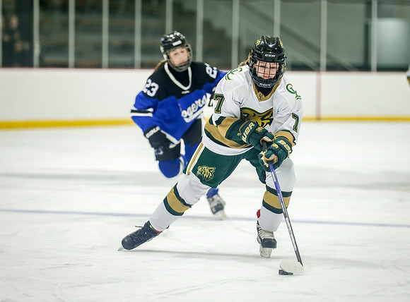 Chisago vs Rogers JV Hockey 100