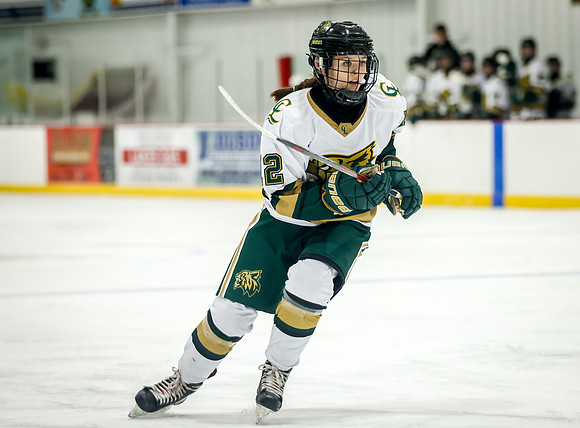 Chisago vs Rogers Varsity Hockey 201