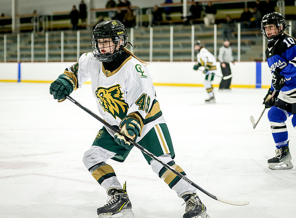 Chisago vs Rogers JV Hockey 235