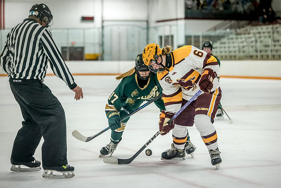 Chisago vs Forest Lake JV Hockey 135