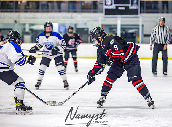 Centennial-Spring Lake Park vs Rogers Girls Varsity Hockey 160