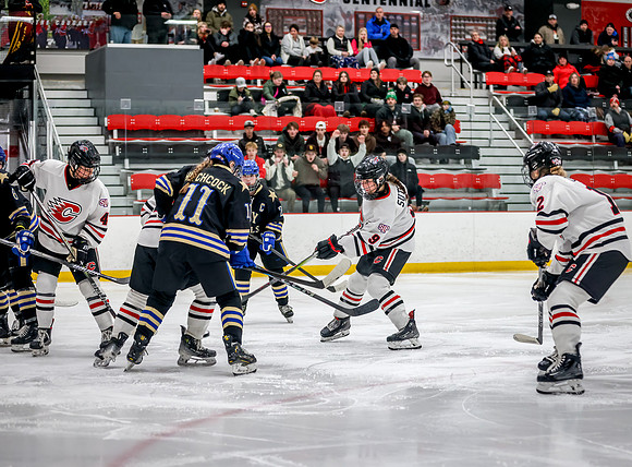 Centennial vs Holy Angels Varsity Hockey 94