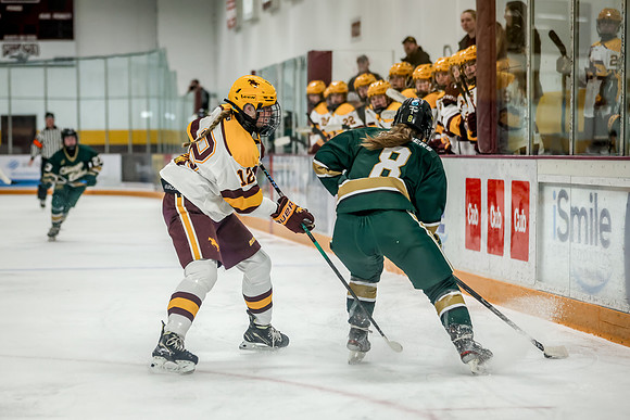 Chisago vs Forest Lake Varsity Hockey 188